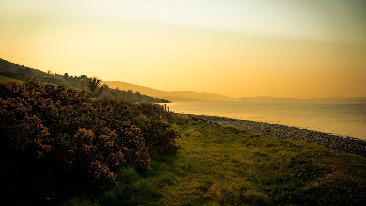 Essential Navigation Skills for Coastal Walking in Fog