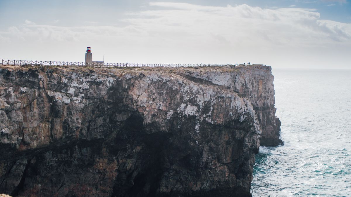 Spotting Seabirds Safely on Cliffside Nature Reserves